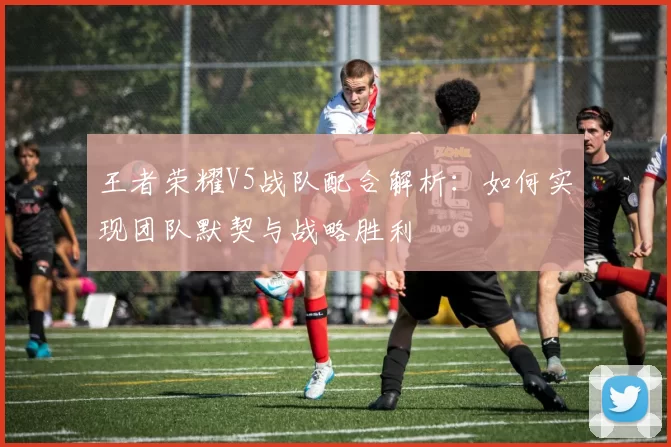 王者荣耀V5战队配合解析：如何实现团队默契与战略胜利