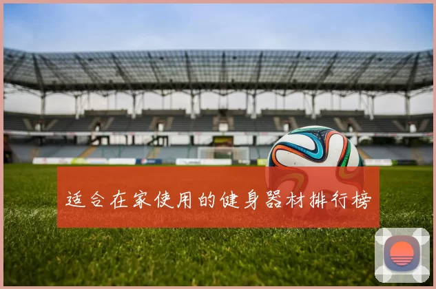 适合在家使用的健身器材排行榜