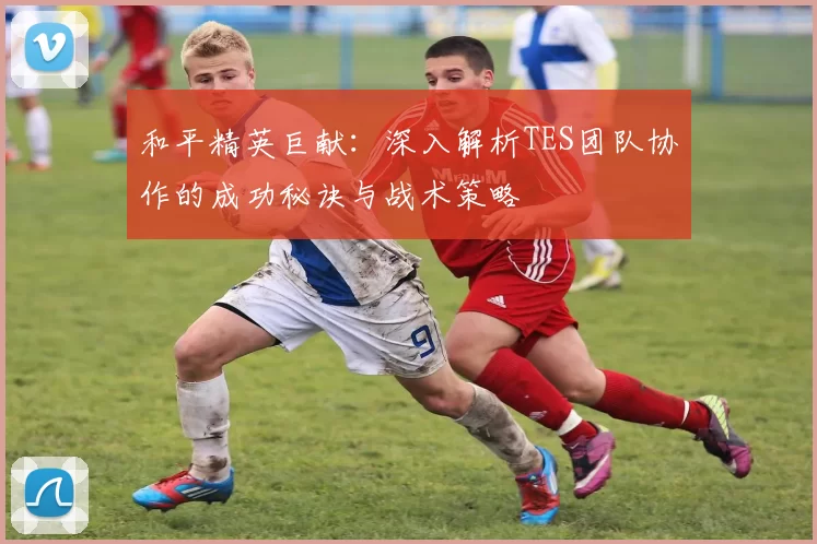 和平精英巨献：深入解析TES团队协作的成功秘诀与战术策略