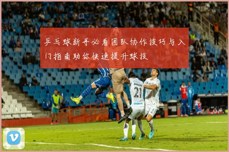 乒乓球新手必看团队协作技巧与入门指南助你快速提升球技