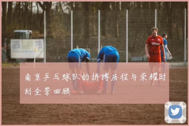 南京乒乓球队的拼搏历程与荣耀时刻全景回顾