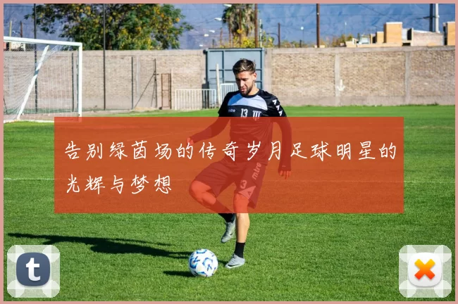 告别绿茵场的传奇岁月足球明星的光辉与梦想