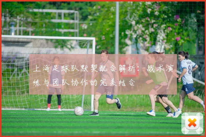 上海足球队默契配合解析：战术演练与团队协作的完美结合