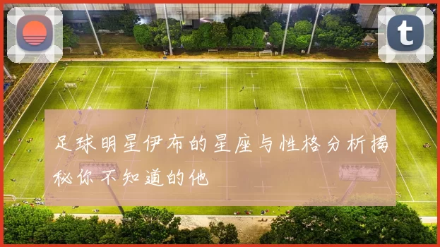 足球明星伊布的星座与性格分析揭秘你不知道的他