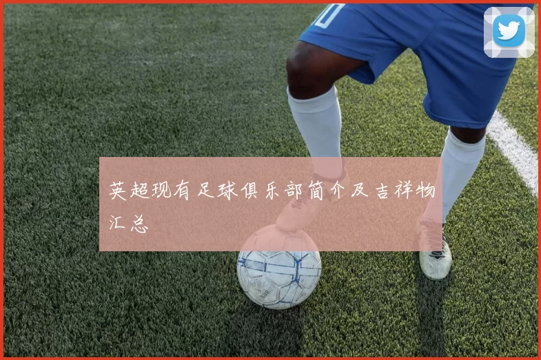 英超现有足球俱乐部简介及吉祥物汇总