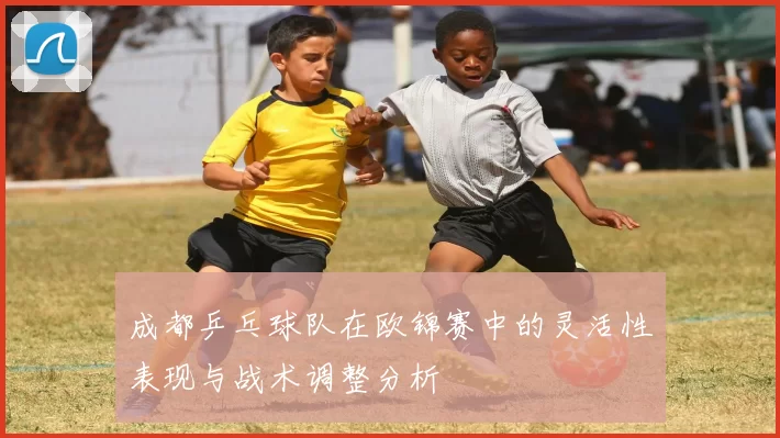 成都乒乓球队在欧锦赛中的灵活性表现与战术调整分析
