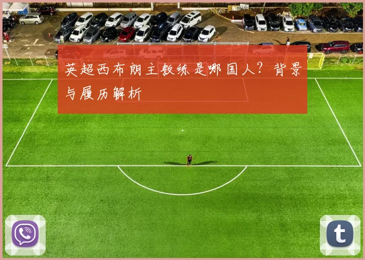 英超西布朗主教练是哪国人？背景与履历解析