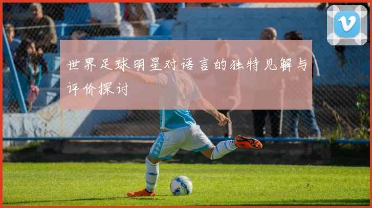 世界足球明星对语言的独特见解与评价探讨