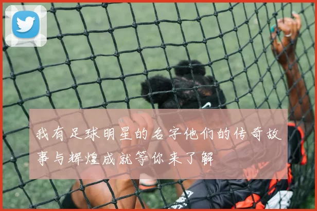 我有足球明星的名字他们的传奇故事与辉煌成就等你来了解
