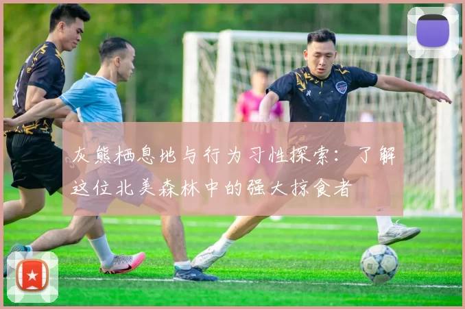 灰熊栖息地与行为习性探索：了解这位北美森林中的强大掠食者