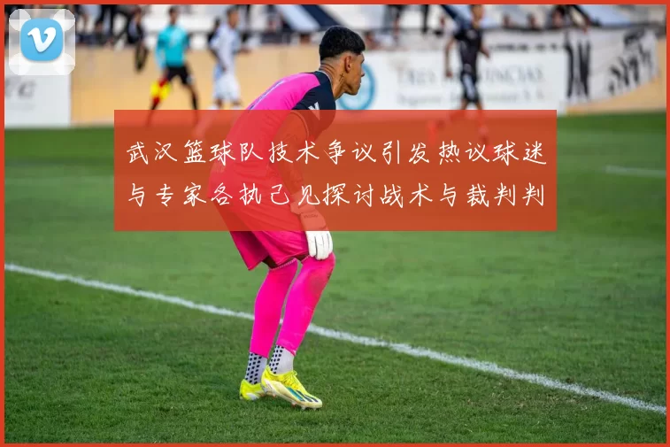武汉篮球队技术争议引发热议球迷与专家各执己见探讨战术与裁判判罚