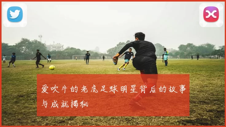 爱吹牛的老虎足球明星背后的故事与成就揭秘