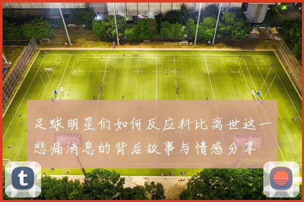 足球明星们如何反应科比离世这一悲痛消息的背后故事与情感分享