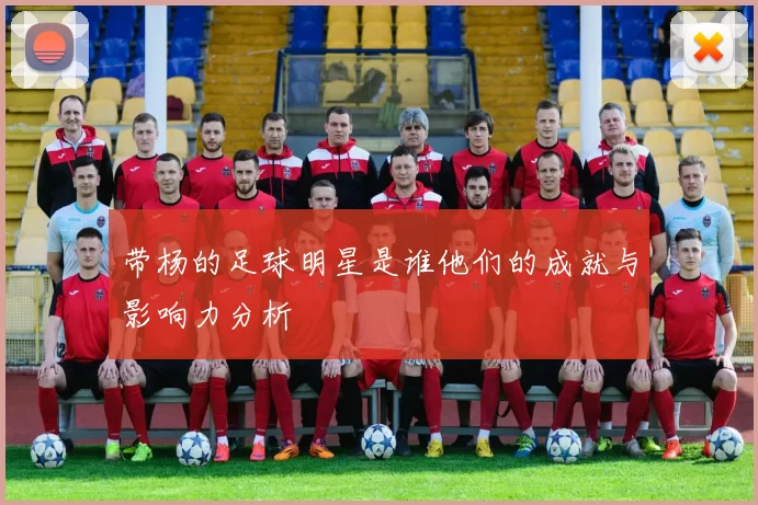 带杨的足球明星是谁他们的成就与影响力分析