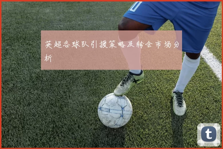 英超各球队引援策略及转会市场分析