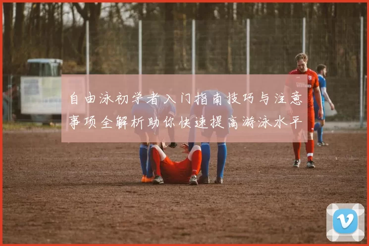 自由泳初学者入门指南技巧与注意事项全解析助你快速提高游泳水平