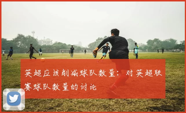 英超应该削减球队数量：对英超联赛球队数量的讨论