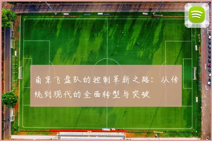 南京飞盘队的控制革新之路：从传统到现代的全面转型与突破