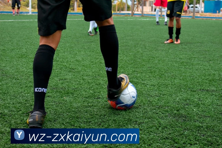 开云平台生态图